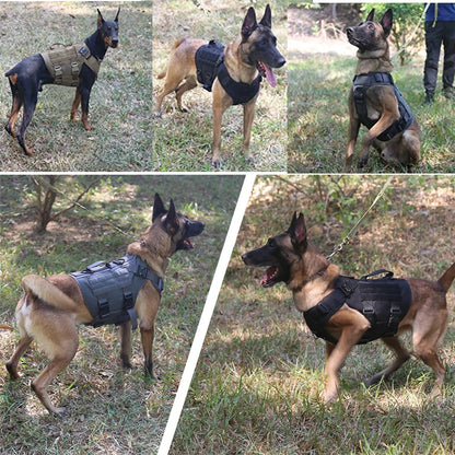 Tactical Dog Vest Harness & Leash Set
