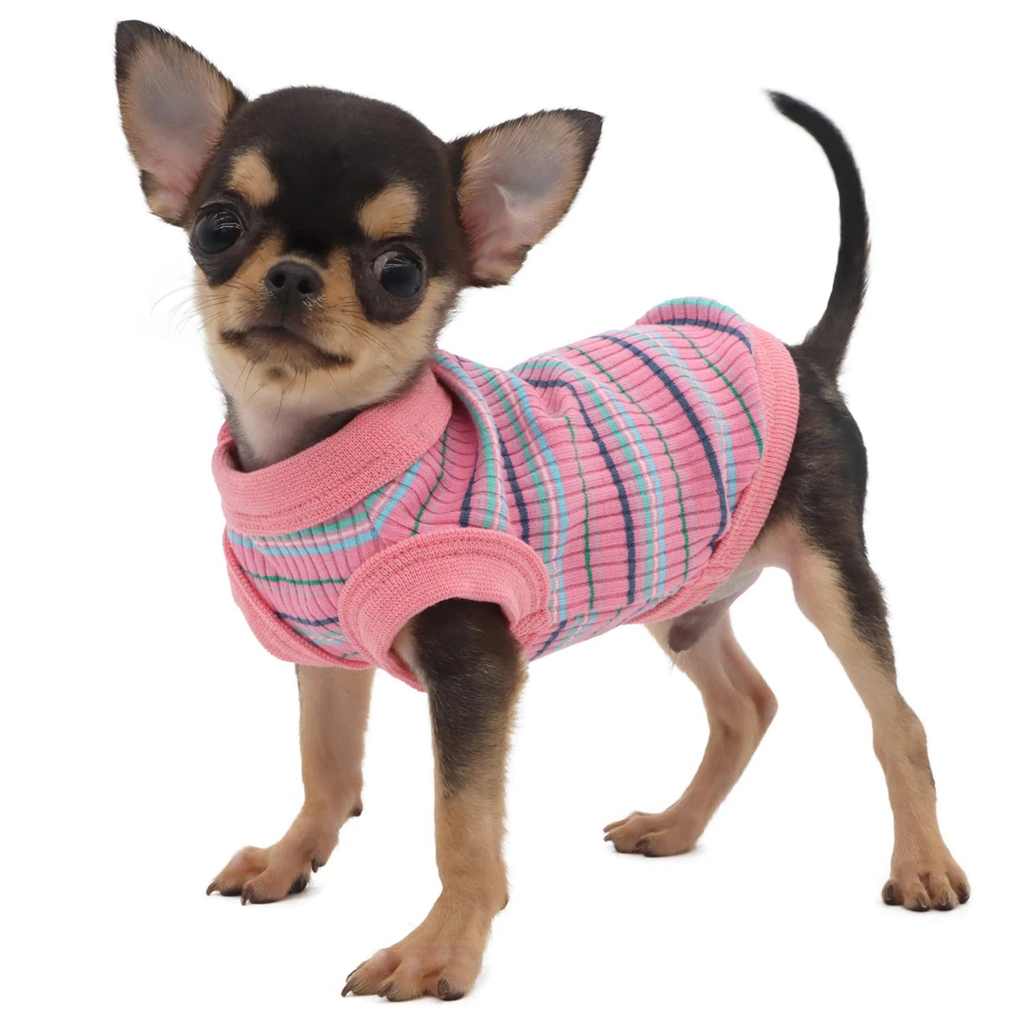 Ribbed Dog Tank Tee