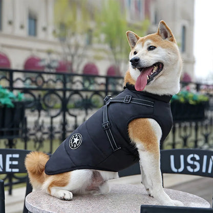 Winter Dog Jacket with Built-In Harness