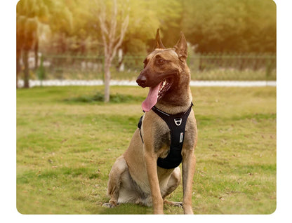 TRUE LOVE No-Pull Reflective Dog Harness