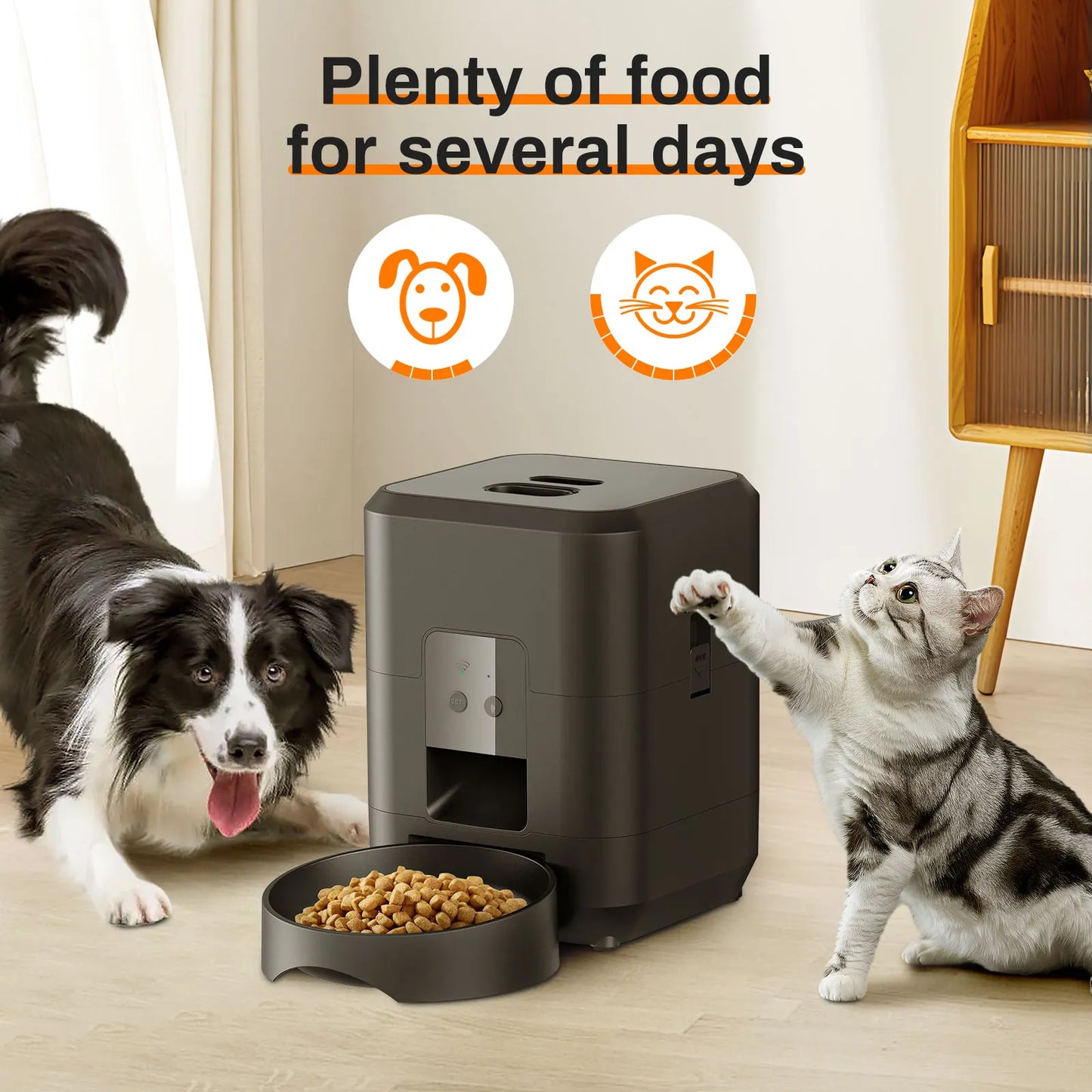 Automatic Timed Pet Feeder
