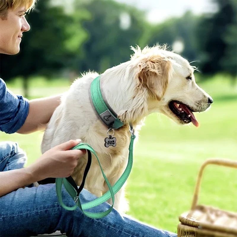Padded Reflective Dog Collar
