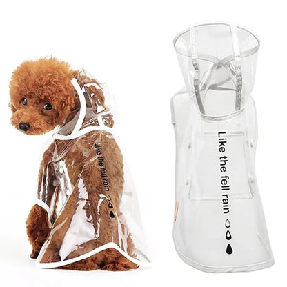 Transparent Hooded Dog Raincoat