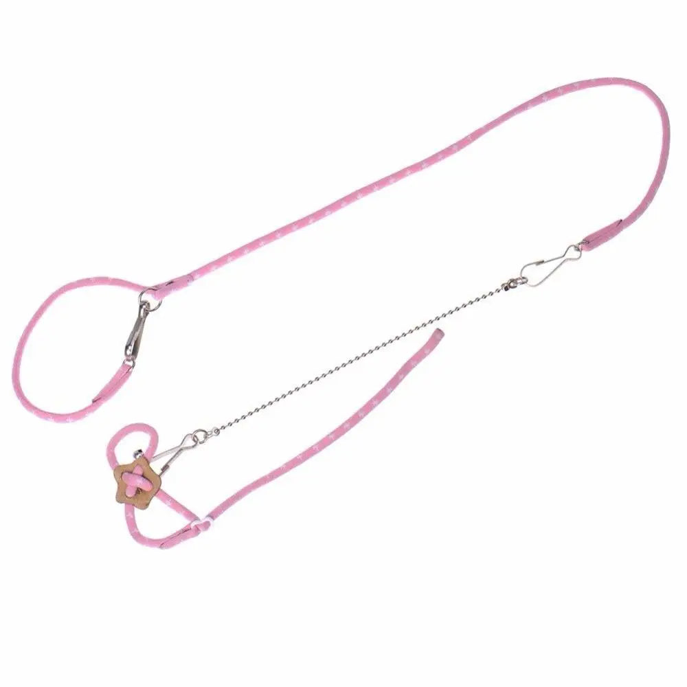 Small Pet Harness & Leash