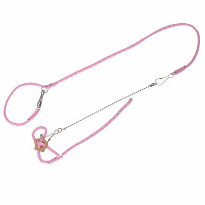 Small Pet Harness & Leash