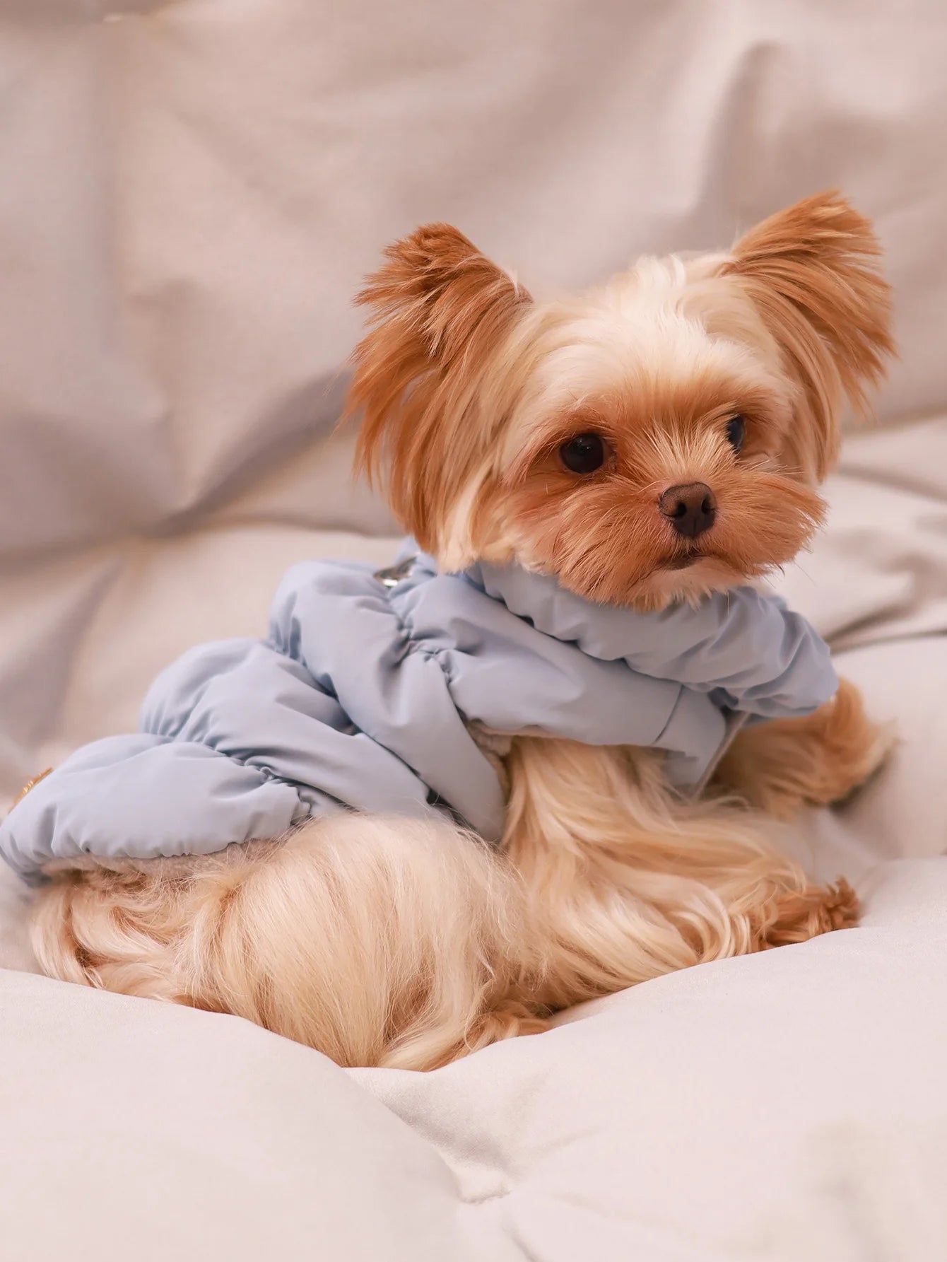 3-Layer Thick Winter Dog Coat