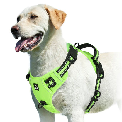 Padded No-Pull Dog Harness