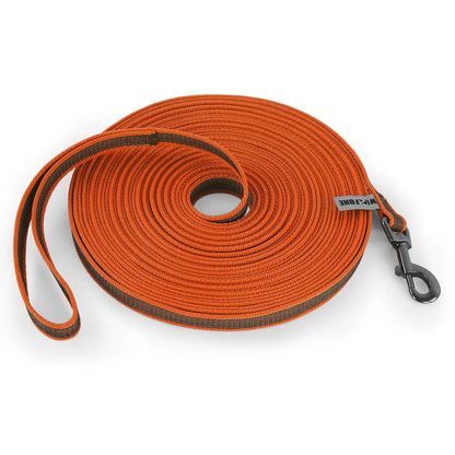 Long Training Dog Leash