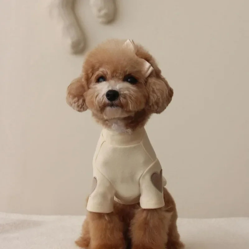 Love Bear Winter Pet Hoodie