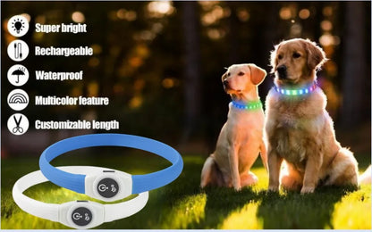 LED Light-Up Dog Collar