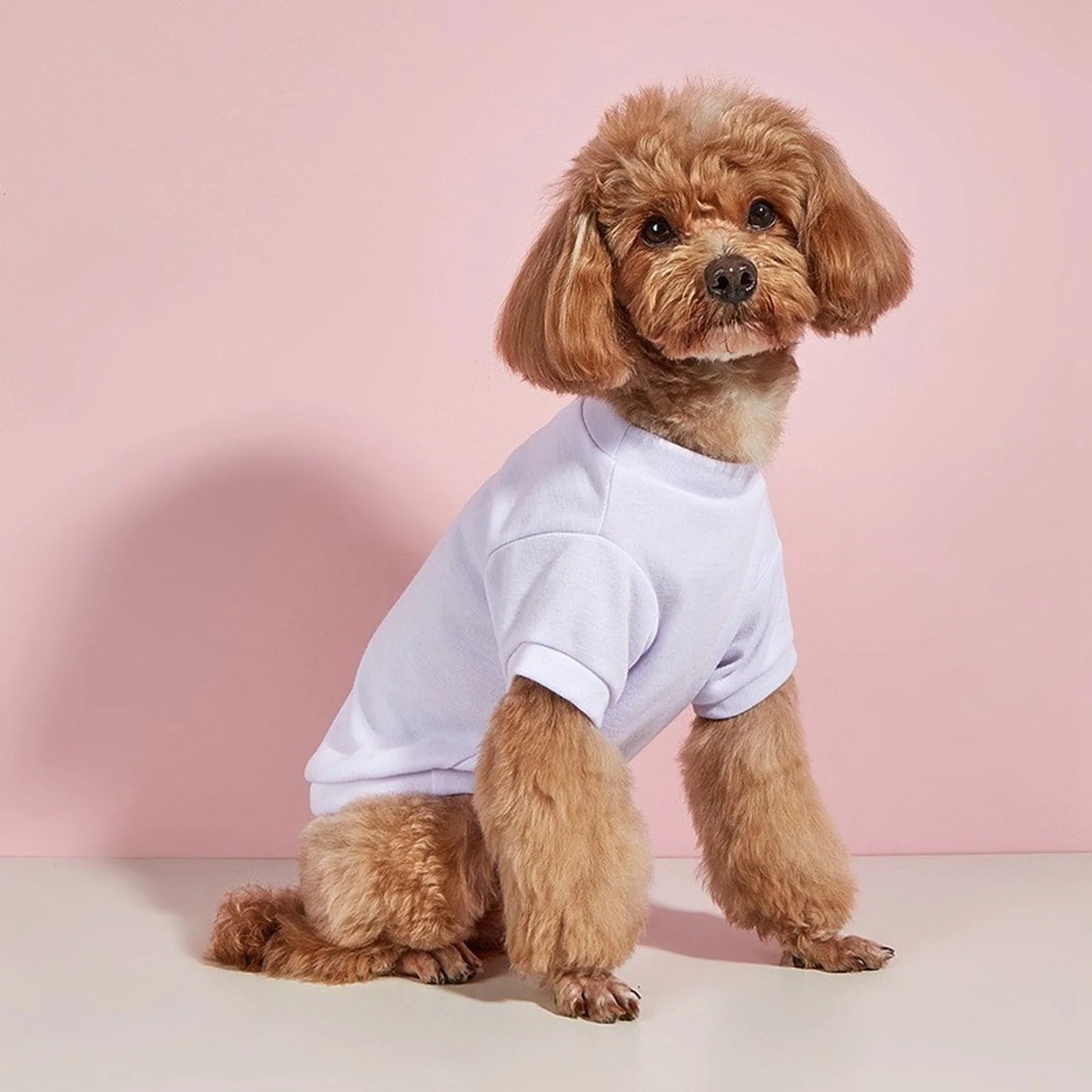 Solid Summer Dog Tee