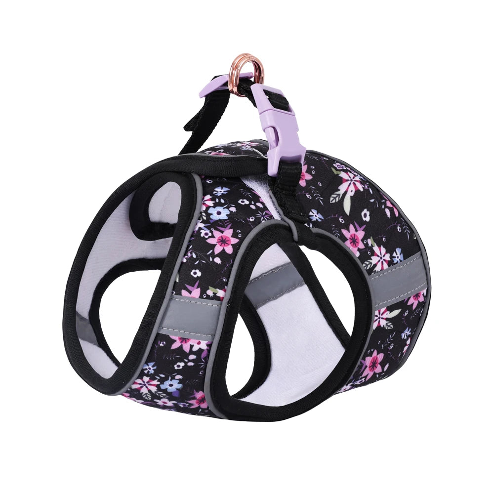 Small Dog Harness & Leash Set