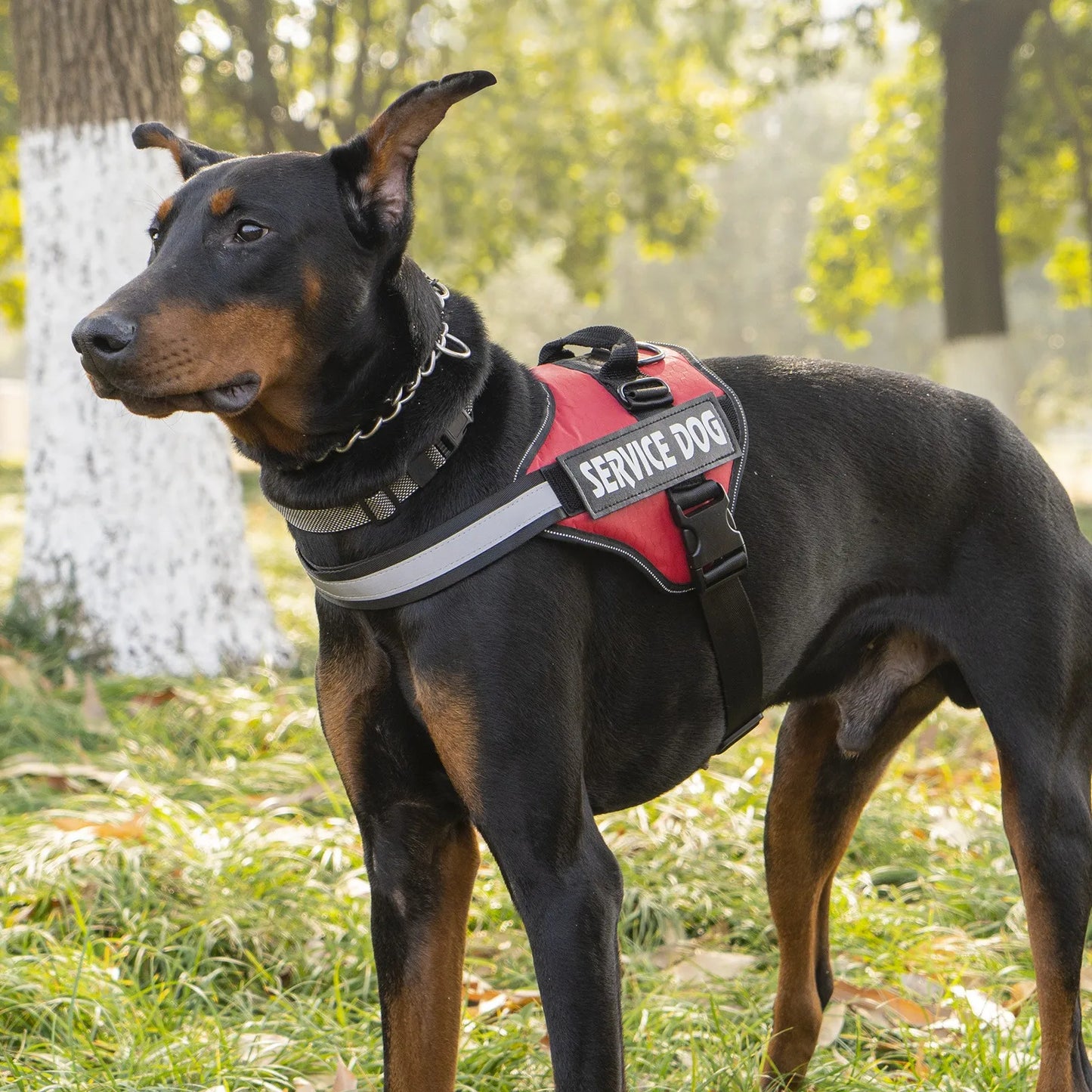 Chest-Strap Dog Vest Harness