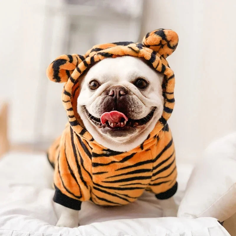 Coral Fleece Dog Costume