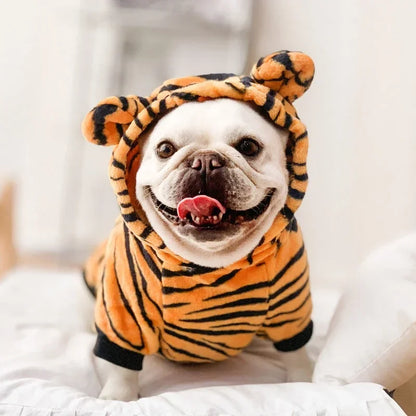 Coral Fleece Dog Costume