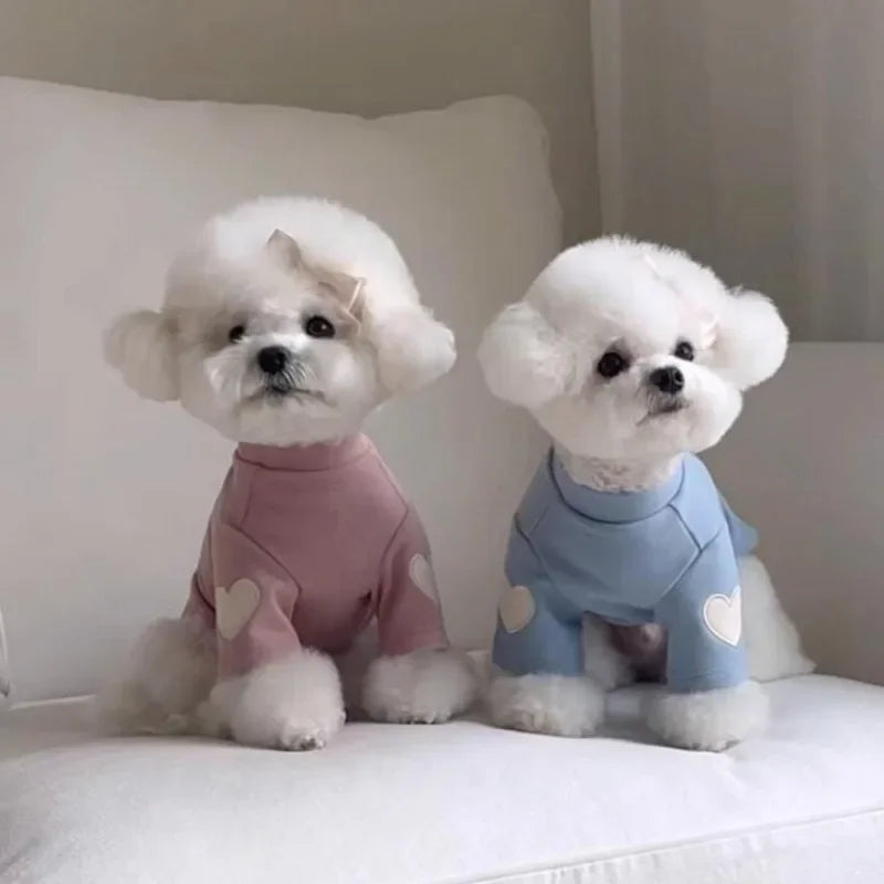 Love Bear Winter Pet Hoodie