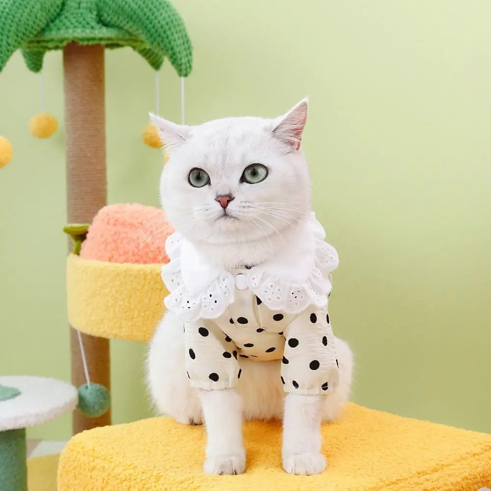 Polka Dot Summer Dog Dress