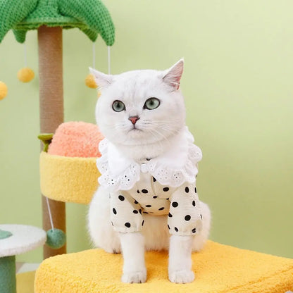 Polka Dot Summer Dog Dress