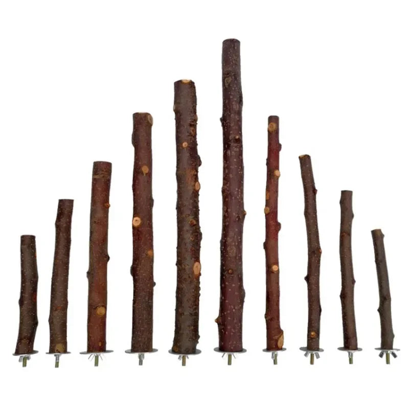 Natural Wood Branch Bird Perch