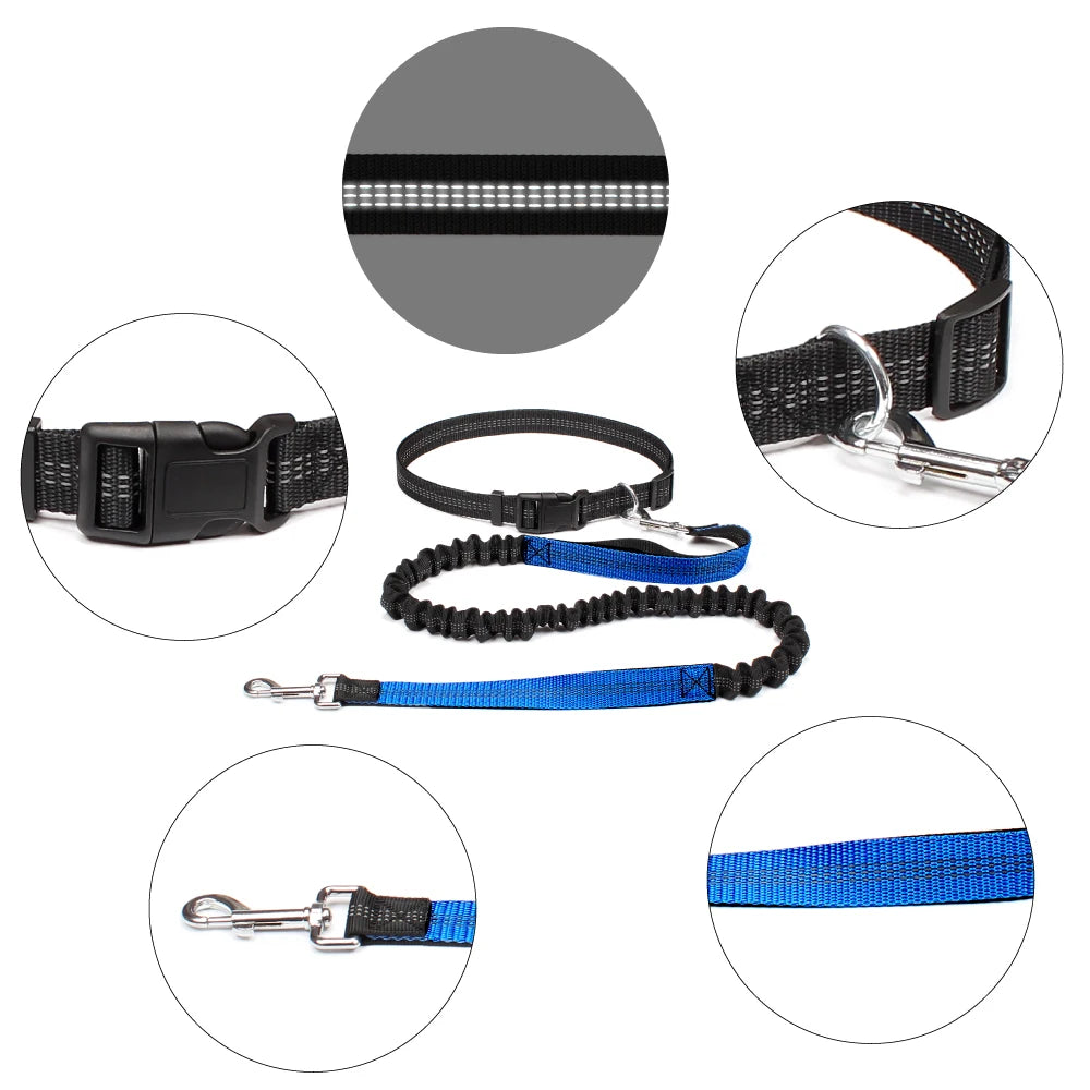 Hands-Free Dog Leash with Waist Belt
