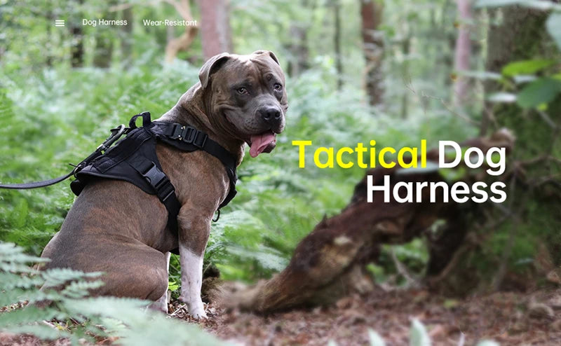 Tactical Dog Vest Harness & Leash Set