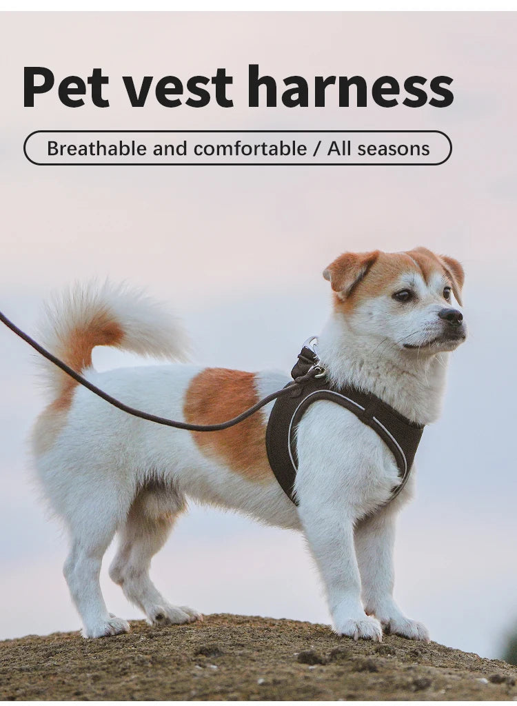 Reflective Dog Harness & Leash Set