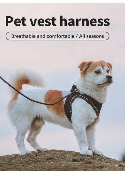 Reflective Dog Harness & Leash Set
