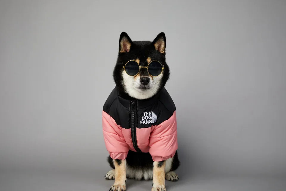 Puppy Down Jacket