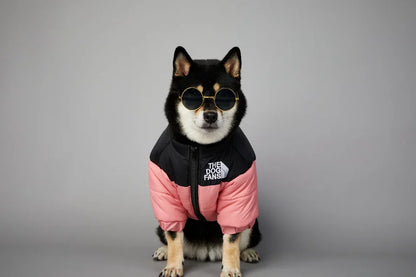 Puppy Down Jacket