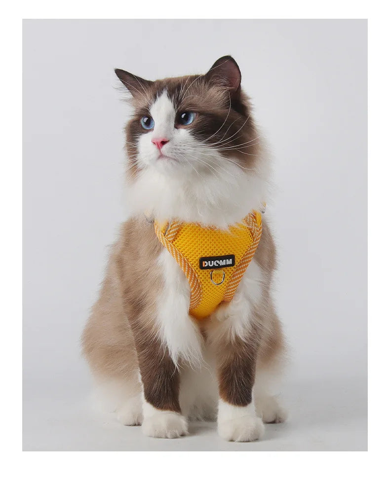 Reflective Mesh Cat Harness & Leash Set