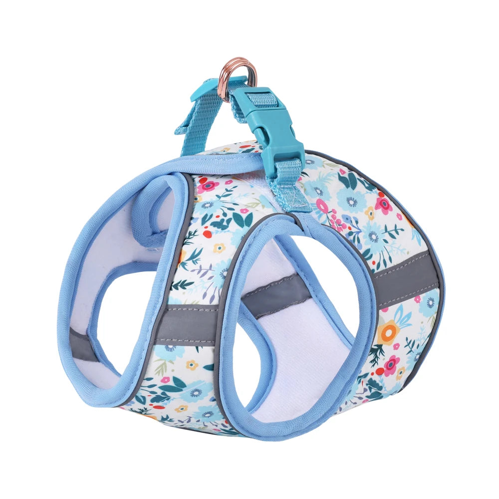 Small Dog Harness & Leash Set