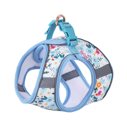 Small Dog Harness & Leash Set