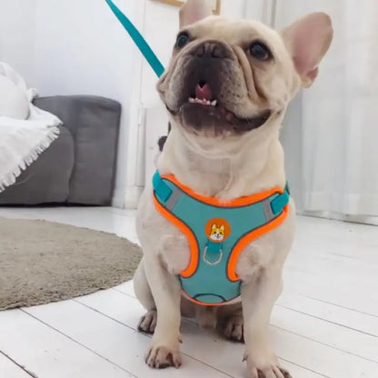 No-Pull Reflective Dog Harness