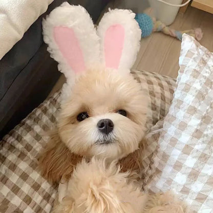 Bear & Rabbit Hooded Pet Hat