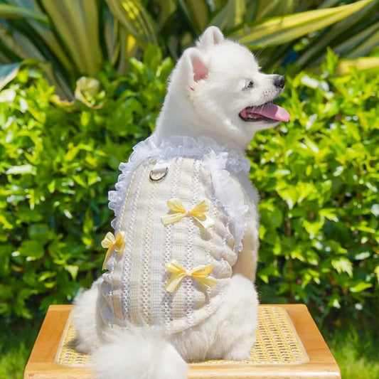 Lace Bow Pet Dress Vest