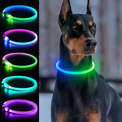 LED Light-Up Dog Collar