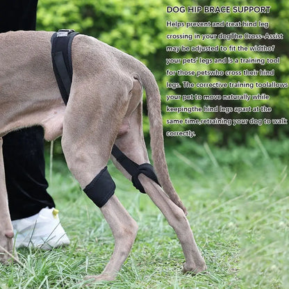 Dog Hip Brace & Hind Leg Support