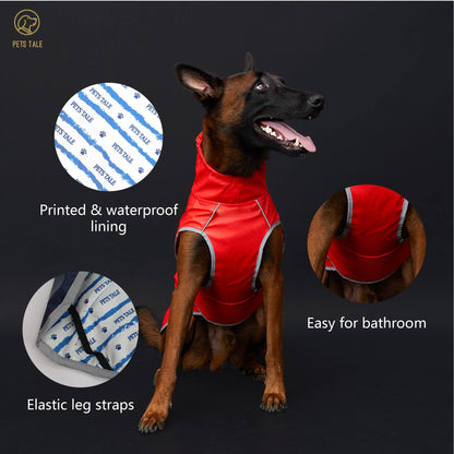 Hooded Reflective Dog Raincoat