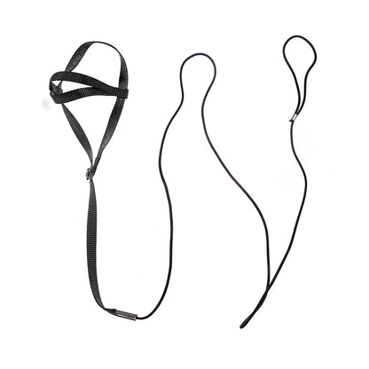 Parrot Flight Harness & Leash