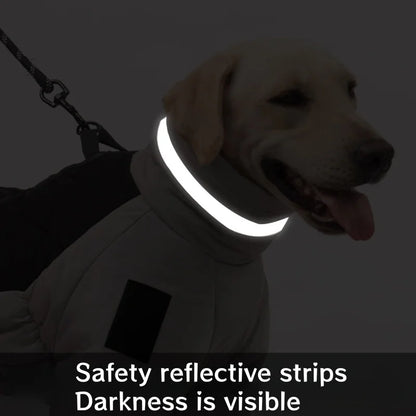 Waterproof Down Dog Coat (Medium & Large)