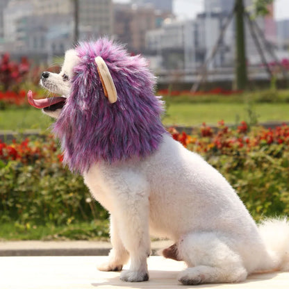 Lion Mane Costume Hat for Cats & Dogs