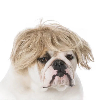 Funny Dog Cosplay Wig