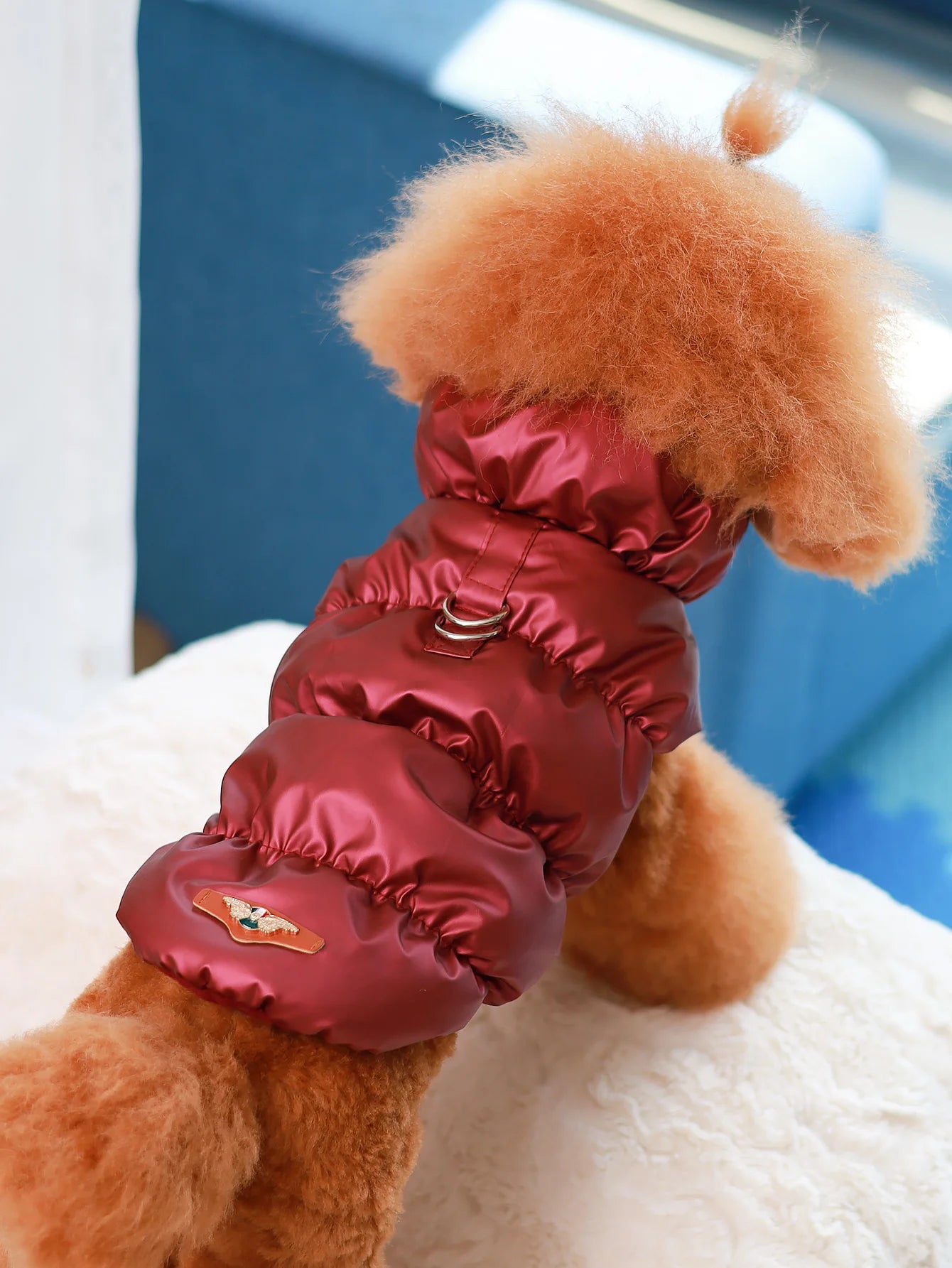 3-Layer Thick Winter Dog Coat
