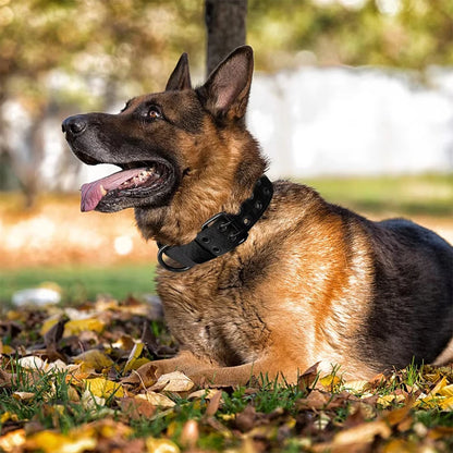 Military-Style Adjustable Dog Collar