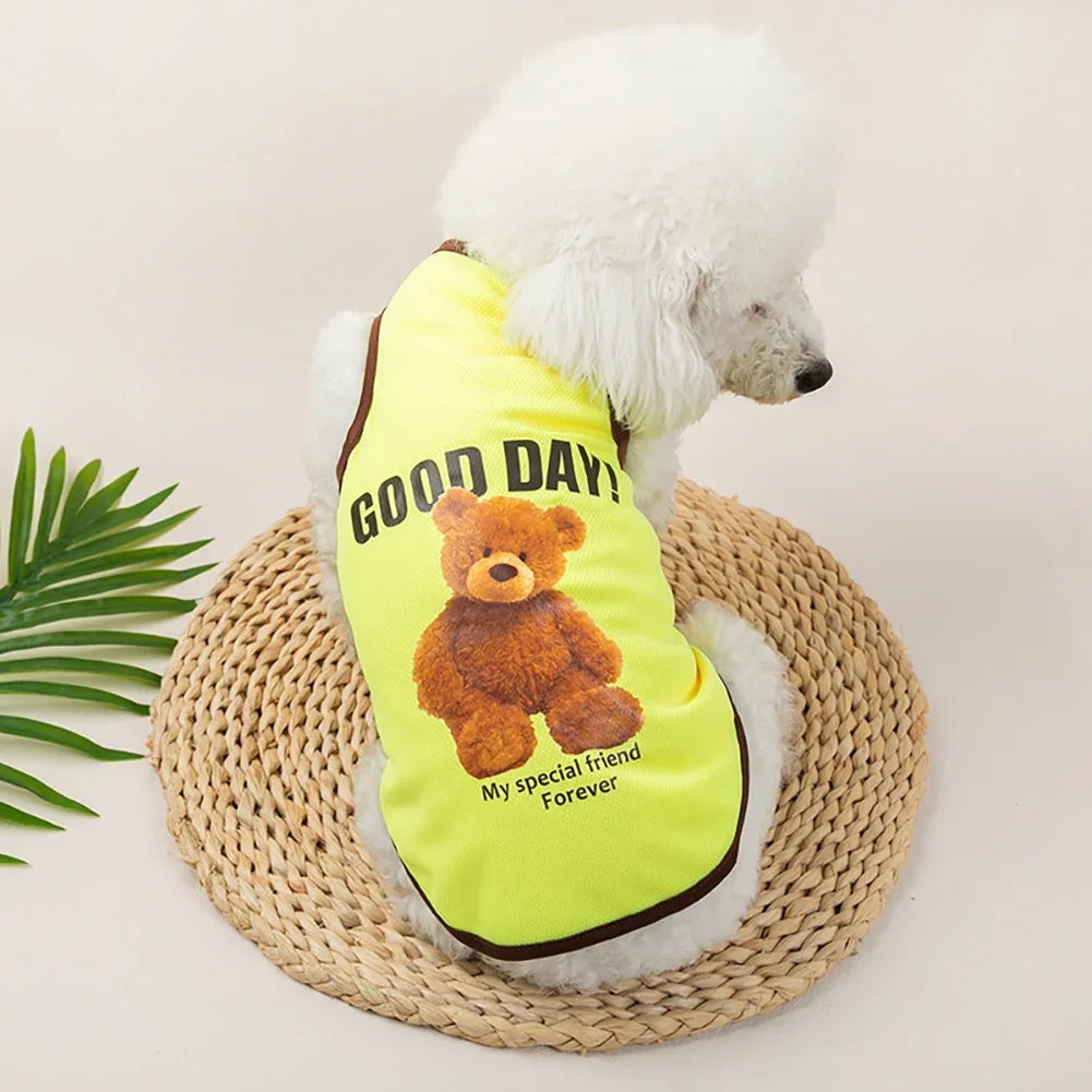 Bear-Print Dog & Cat Tee