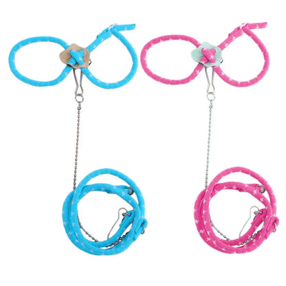 Small Pet Harness & Leash