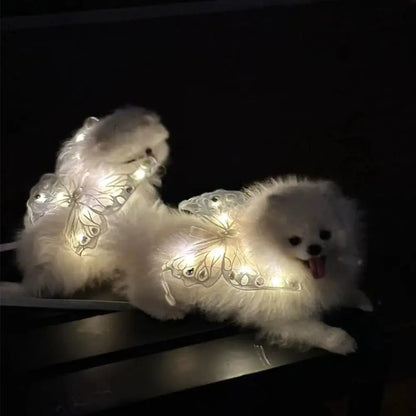 Glowing Butterfly Wings Pet Accessory