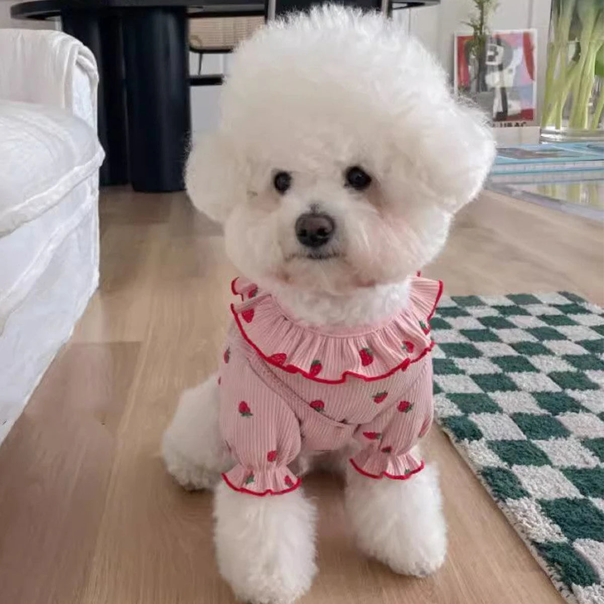 Strawberry Summer Dog Vest