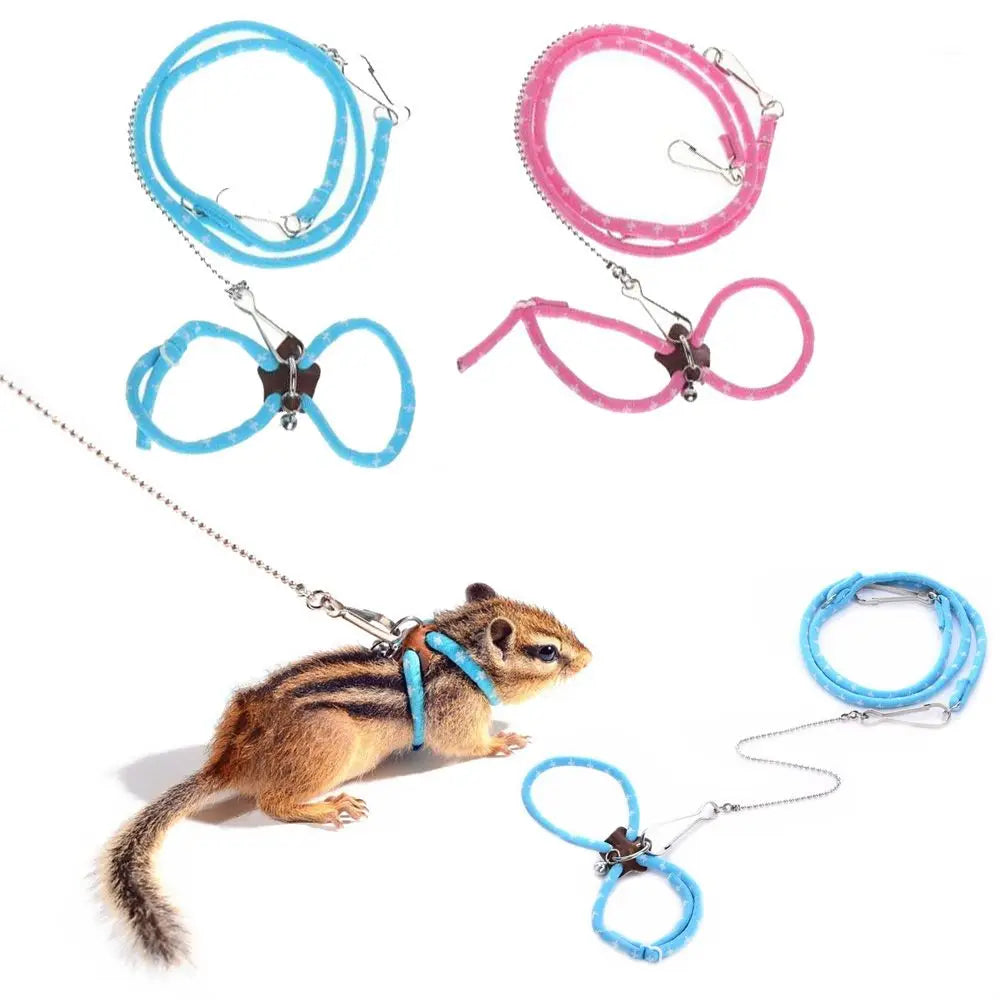 Small Pet Harness & Leash