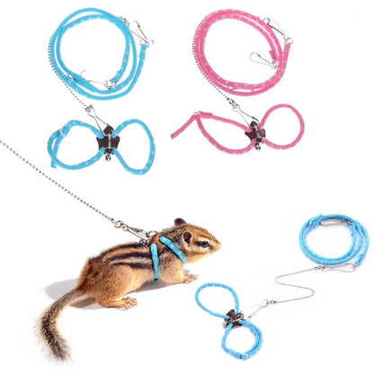 Small Pet Harness & Leash